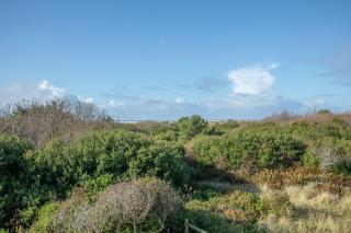 Calypso at Nautilus - Pet Friendly, Walk to beach! - Ocean Shores - 9
