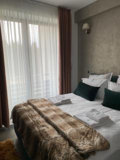 Edelweiss Apartments SILVER RESORT POIANA BRASOV - Poiana Brasov - 6