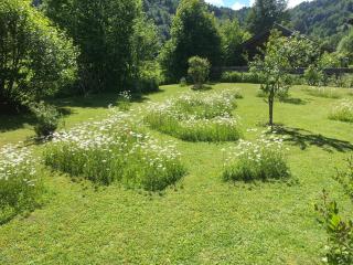 Am Schlierbach - Unterwössen - 8