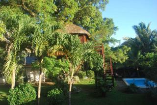 Tree Lodge Mauritius - Belle Mare - 4