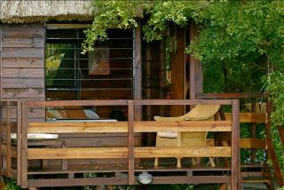 Tree Lodge Mauritius - 2