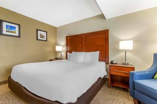 Comfort Inn & Suites Phoenix North - Deer Valley - Phoenix - 6