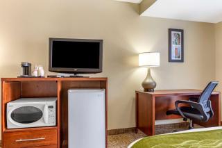 Comfort Inn & Suites Phoenix North - Deer Valley - Phoenix - 1