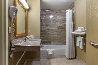 Comfort Suites Grand Rapids South - 2