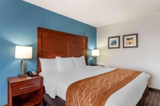 Comfort Inn & Suites Lees Summit - Kansas City - Lees Summit - 2