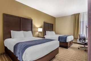 Comfort Inn St Robert-Fort Leonard Wood - 8