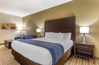 Comfort Inn St Robert-Fort Leonard Wood - Saint-Robert - 3