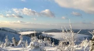 Landhotel Flora & Fauna - Winterberg - 4
