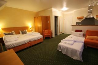 Berggasthof Hotel Igelwirt - 4