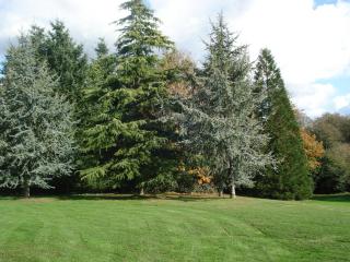 Gite de Cohignac - Berric - 6