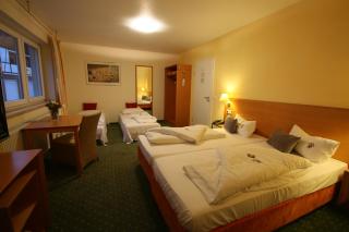 Berggasthof Hotel Igelwirt - Schnaittach - 1