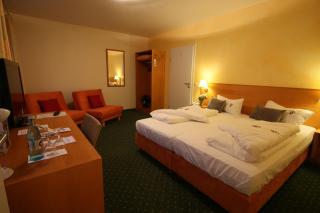 Berggasthof Hotel Igelwirt - Schnaittach - 7