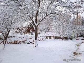 Cabana Belis Dealu Negru - 3