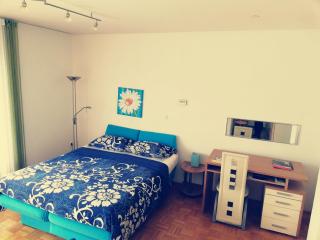 Apartment Lent - Maribor - 7