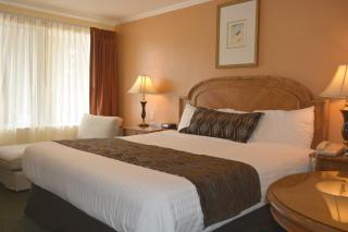 Oasis Inn and Suites - Santa Barbara - 3