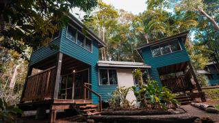 Ferntree Rainforest Lodge - 8