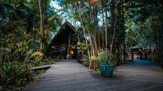 Ferntree Rainforest Lodge - 4
