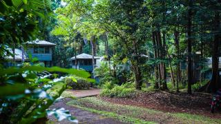 Ferntree Rainforest Lodge - Cape Tribulation - 0