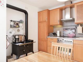 Comfortable holiday home in Saxony with terrace - 1