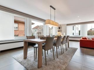 Elegant Holiday Home in De Panne with Sauna - De Panne - 3