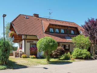 Holiday flat with balcony in Black Forest - Furtwangen - 0