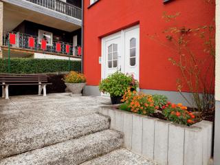 Apartment near the Nurburgring with terrace - Hillesheim - 4
