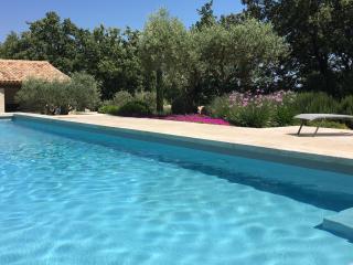 Gite with swimming pool and landscaped garden - Eyragues - 2