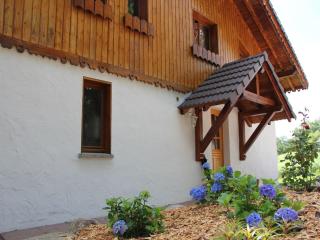Rustic chalet with dishwasher, in the High Vosges - Le Ménil - 8
