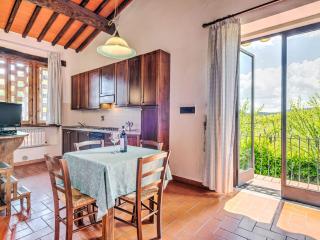 Apartment in Greve in Chianti with garden - Greve in Chianti - 1