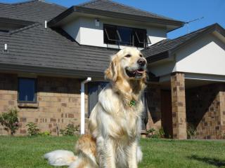 Ohuka Place Homestay - Whitianga - 4