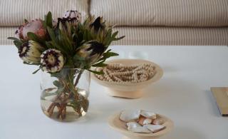 Vivere - 1