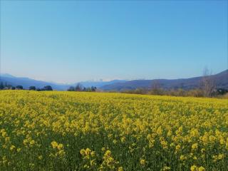 Parador de Santo Domingo de la Calzada - 5