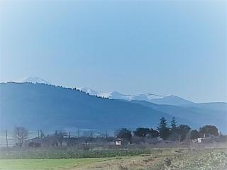 Parador de Santo Domingo de la Calzada - 4