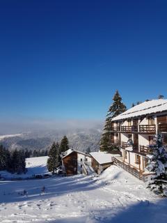 Vlasicka avantura Eko Fis 509 - 0