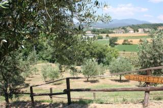 Agriturismo Val della Pieve - Anghiari - 2