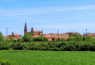 Parador de Santo Domingo de la Calzada - Santo Domingo de la Calzada - 7