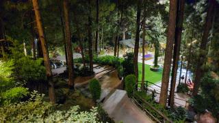 Kasauli Hills Resort - 1
