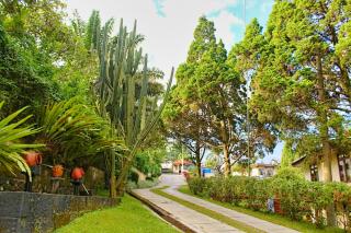 The Jayakarta Cisarua - 3