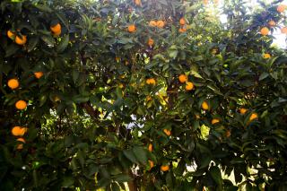 La flecha hostel - 4