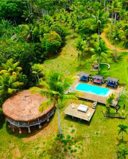 Art Jungle Eco Lodge - 5