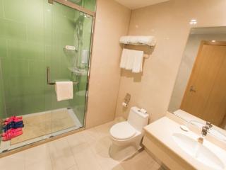 GreenTree InnZhangjiakou High-speed Railway Station Business Hotel - 1