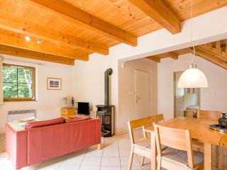 Holiday home in the Giant Mountains - Rudník - 1