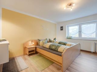 Spacious apartment in the Bavarian Forest - Viechtach - 6