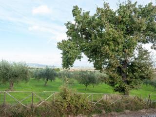Farmhouse in Giano dell'Umbria - 5