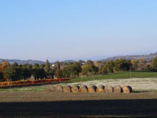 Farmhouse in Giano dell'Umbria with bubble bath - Giano dellʼUmbria - 3