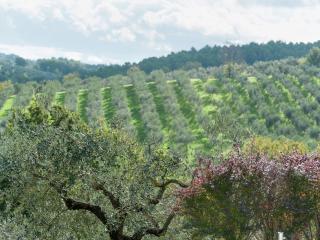 Farmhouse in Giano dell'Umbria with bubble bath - Giano dellʼUmbria - 1