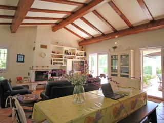Gorgeous Villa in Bagnols-en-Forêt - Bagnols-en-Forêt - 8