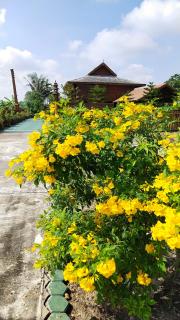 Huanmaisakngam Resort - Ban Buak Khang - 3