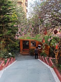 Kasauli Castle Resort - 3