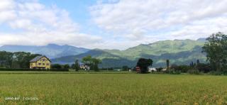 Elizabeth Bed and Breakfast - Fengli - 7